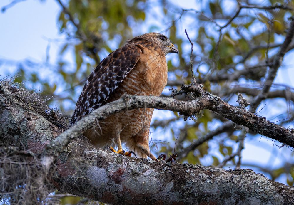 Photograph by Анатолий Костерев