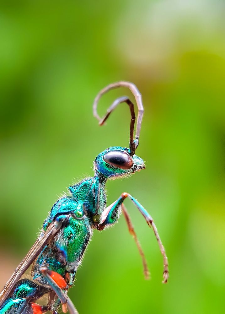 Photograph by NGUYEN LIEN