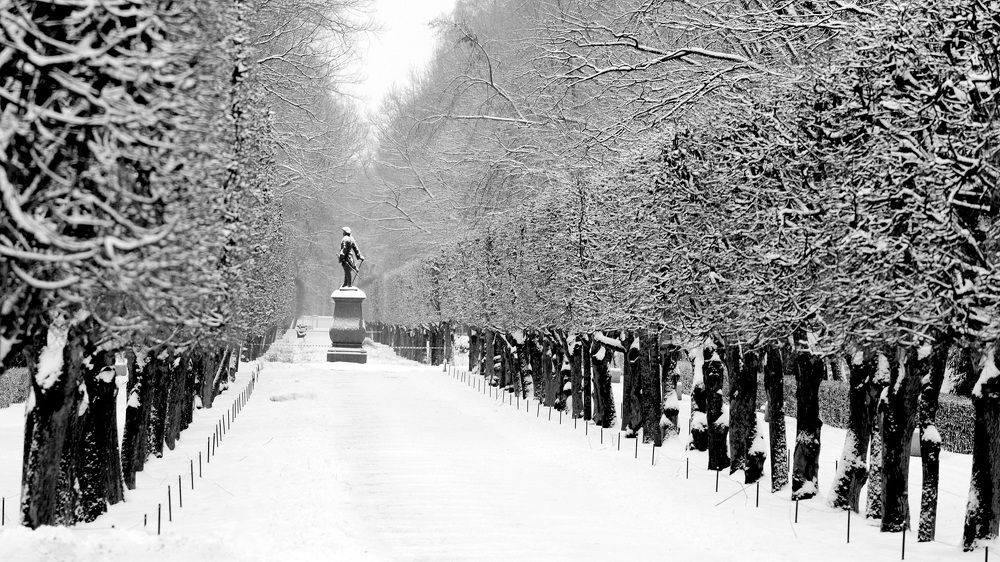 Стройными рядами...