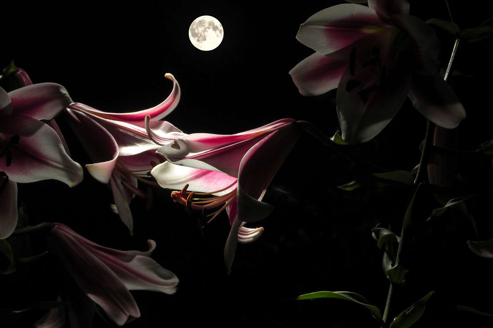 Photograph by Андрей Егоров