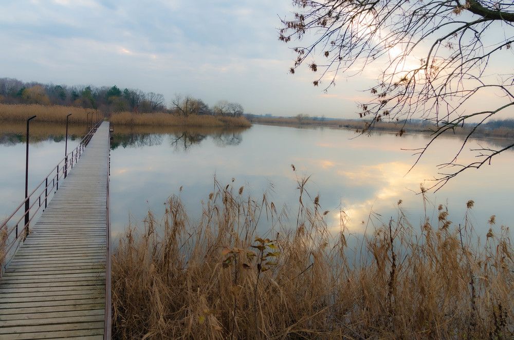 Photograph by Редько Александр