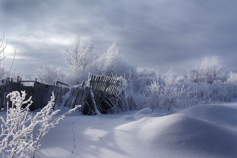 Зимний день.