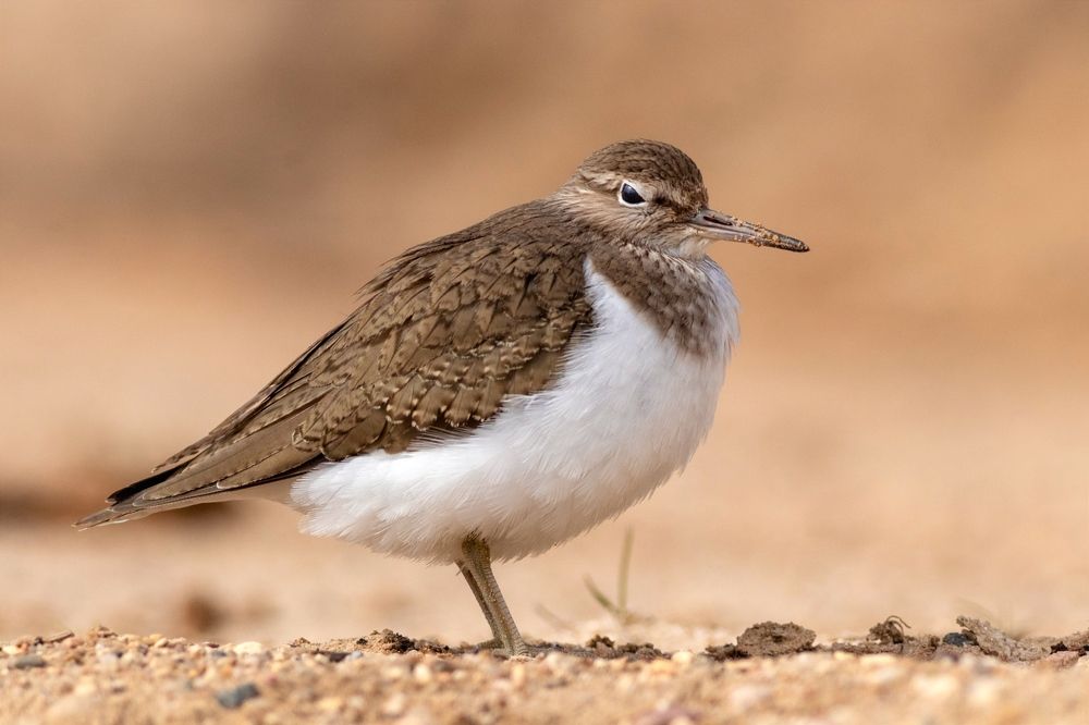 Photograph by Павел Краснослободцев