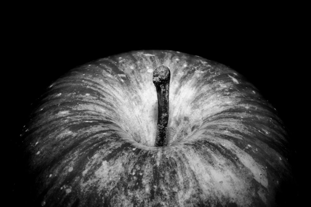 Photograph by Анна Крюкова