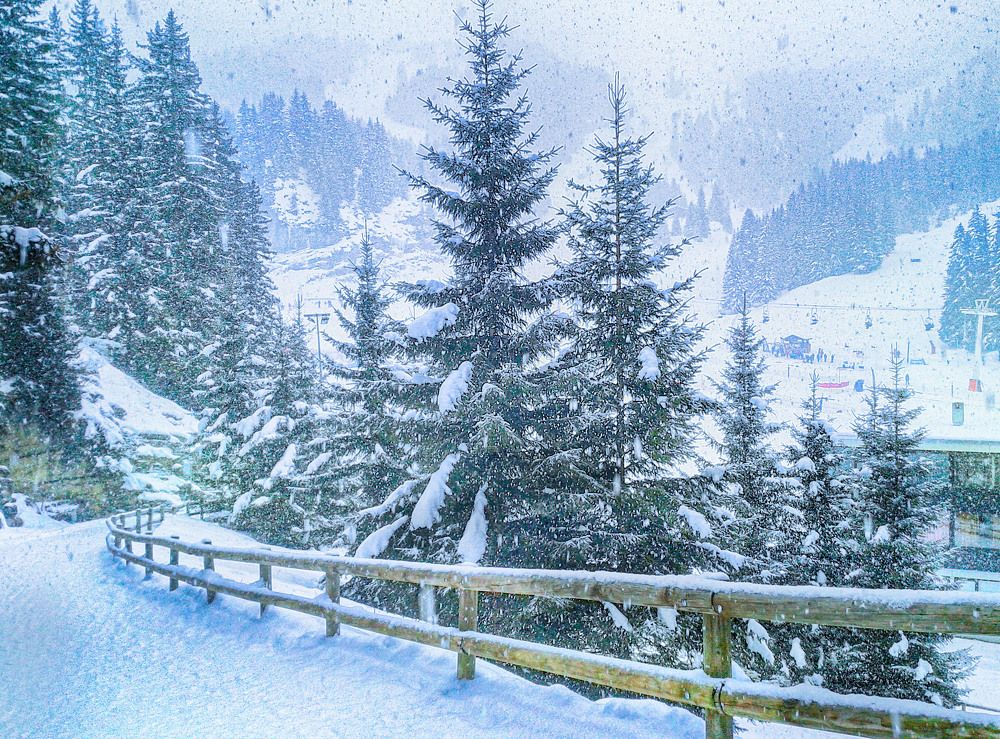 Photograph by Владимир Гречанинов