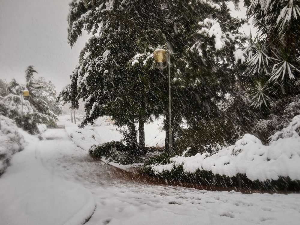 Фотография автора David Solodar