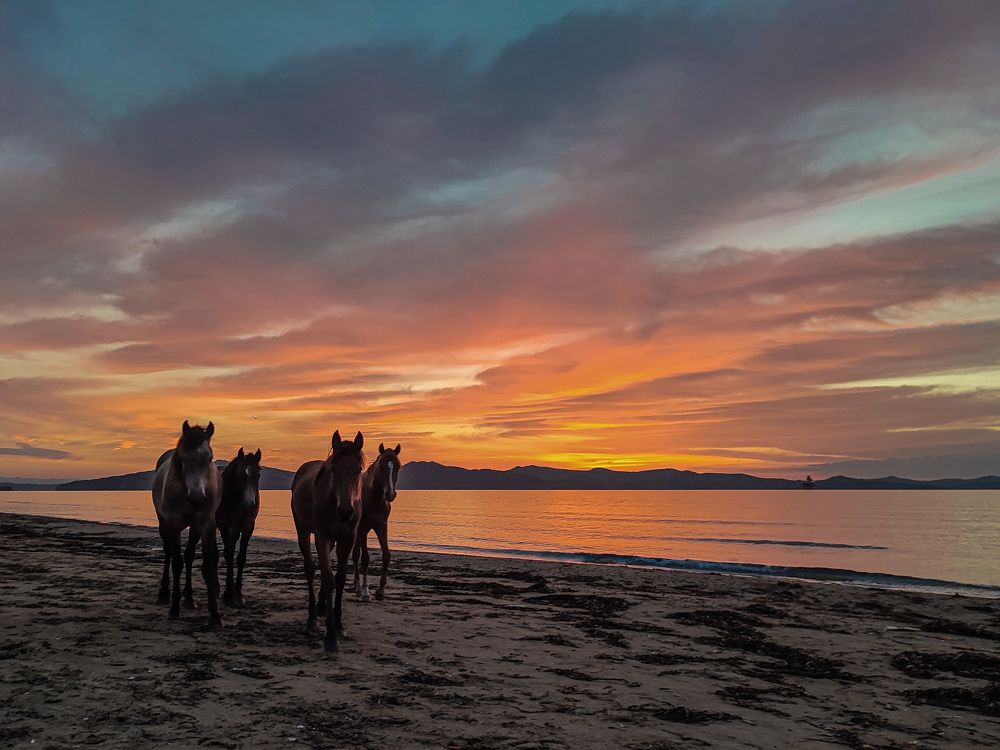 Photograph by Дмитрий Медянников