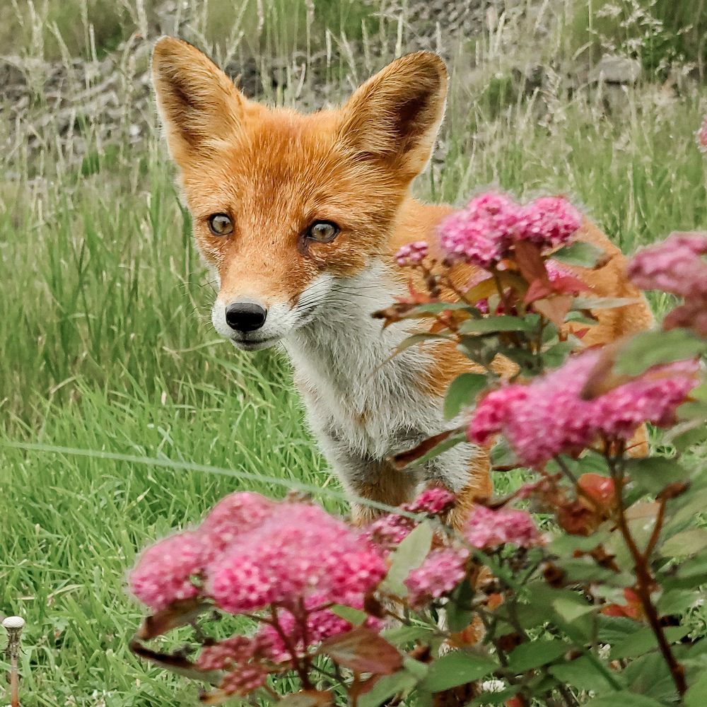 Photograph by Дмитрий Медянников