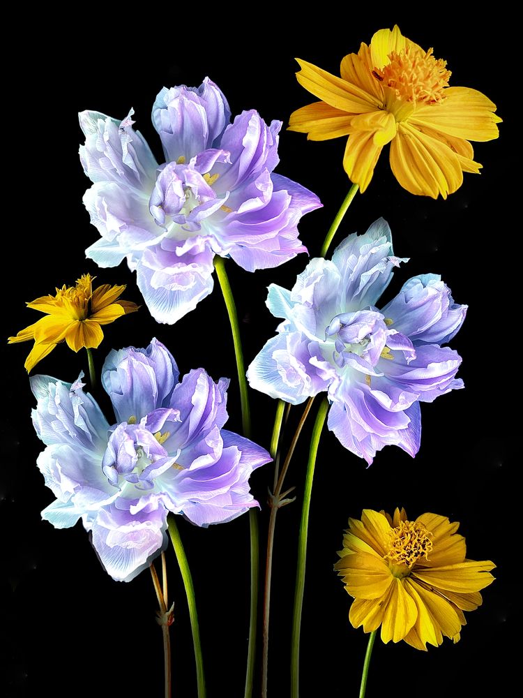 Photograph by Марина Танаева