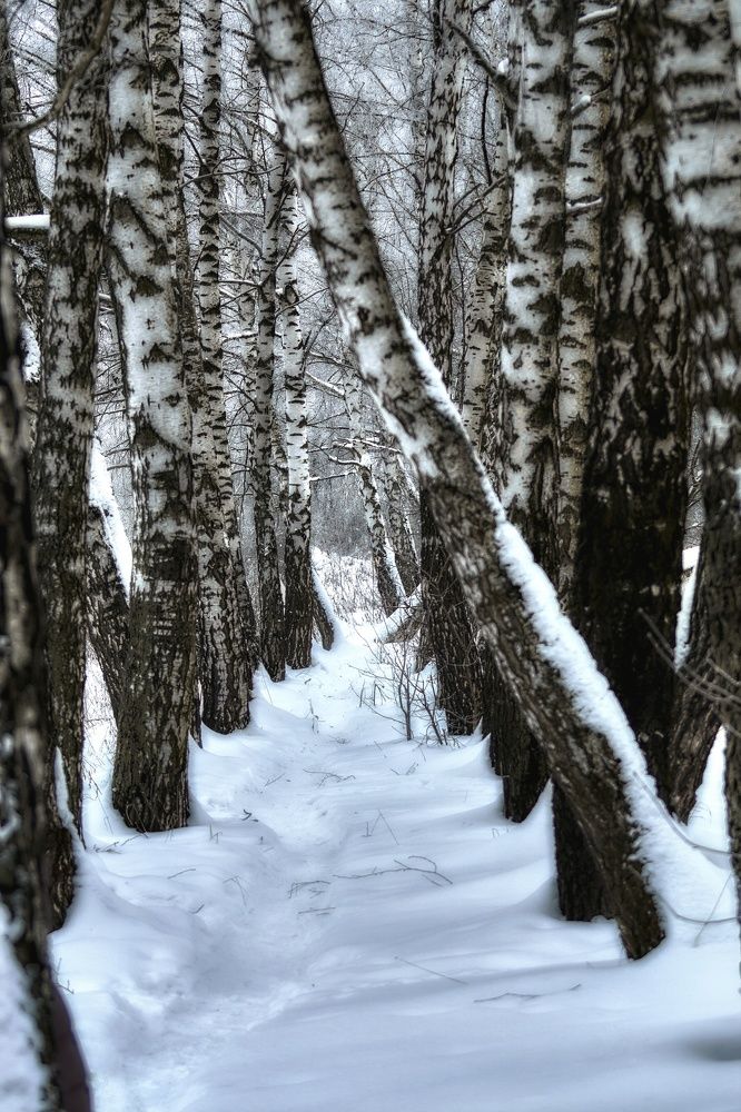 Photograph by Света Богоявленская