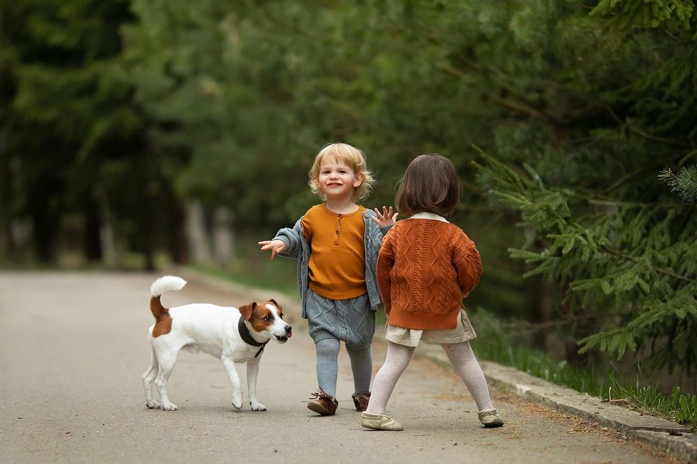 Фотография автора Анна Крутицкая