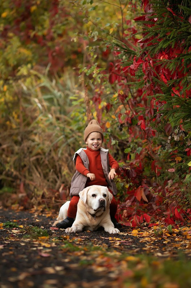 Фотография автора Анна Крутицкая