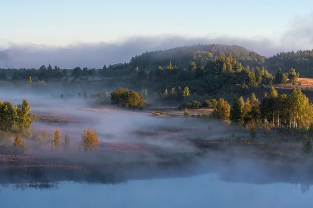Туманное утро