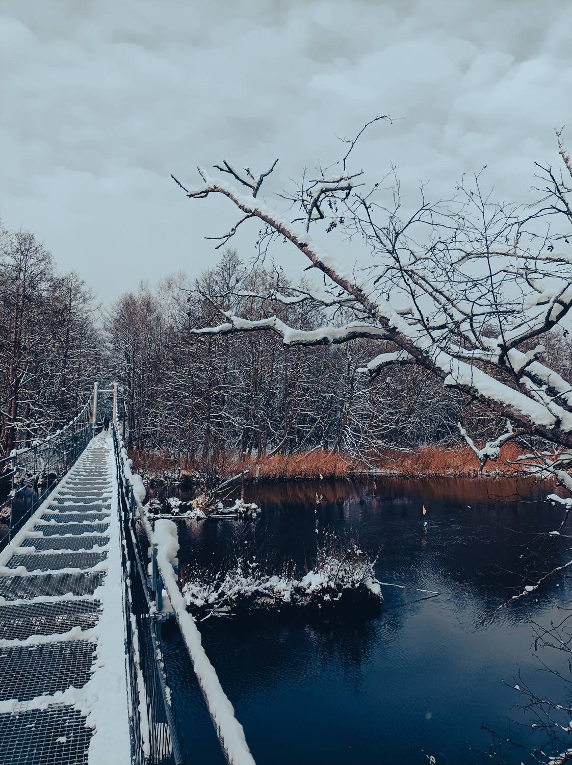 Photo #8562748