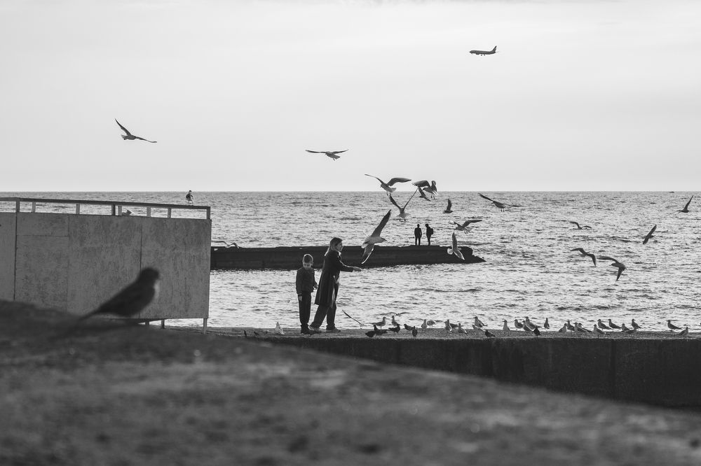 Photograph by Елена Приписнова