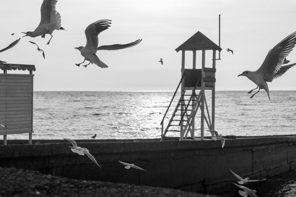 Photograph by Елена Приписнова