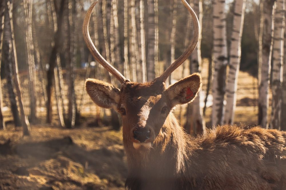 Photograph by Данис Вафин