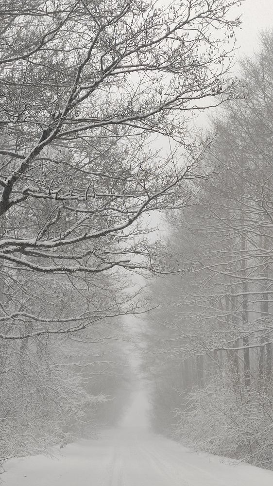 Photograph by Сергей Морозов