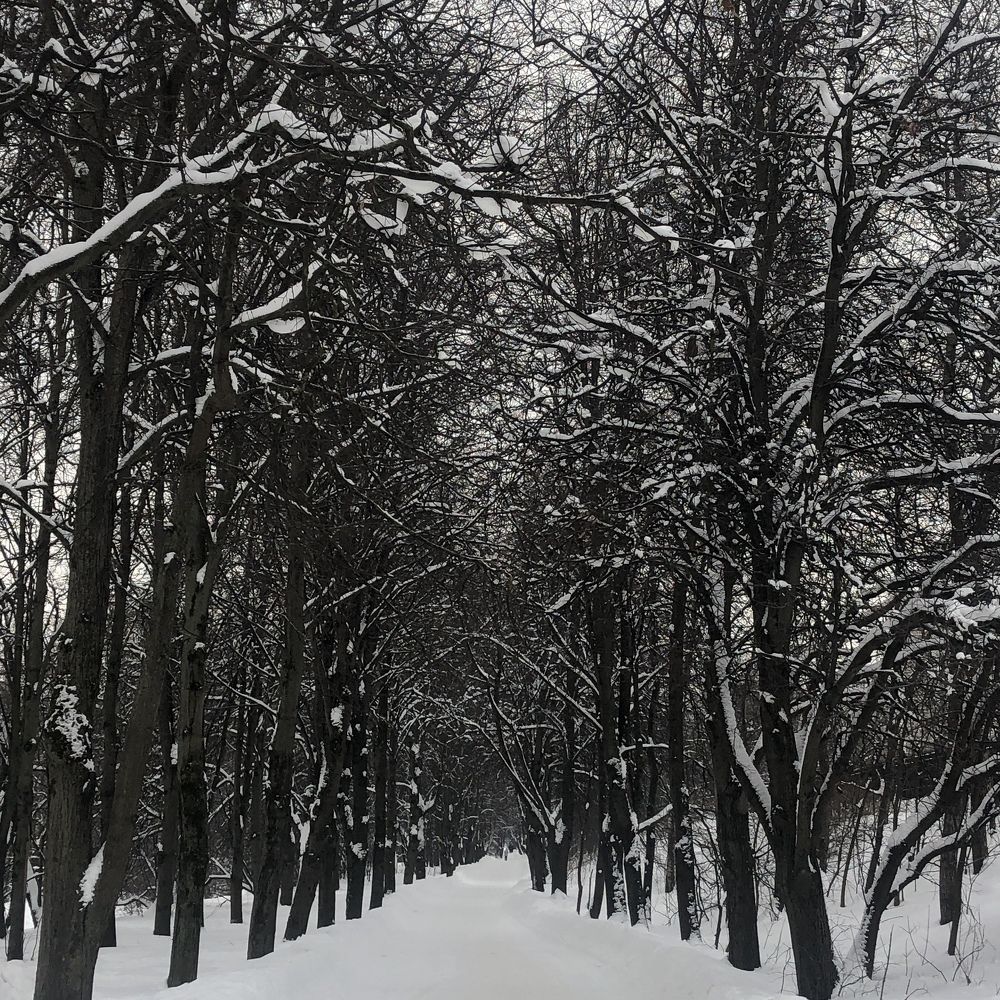 Photograph by Яна Цицилашвили