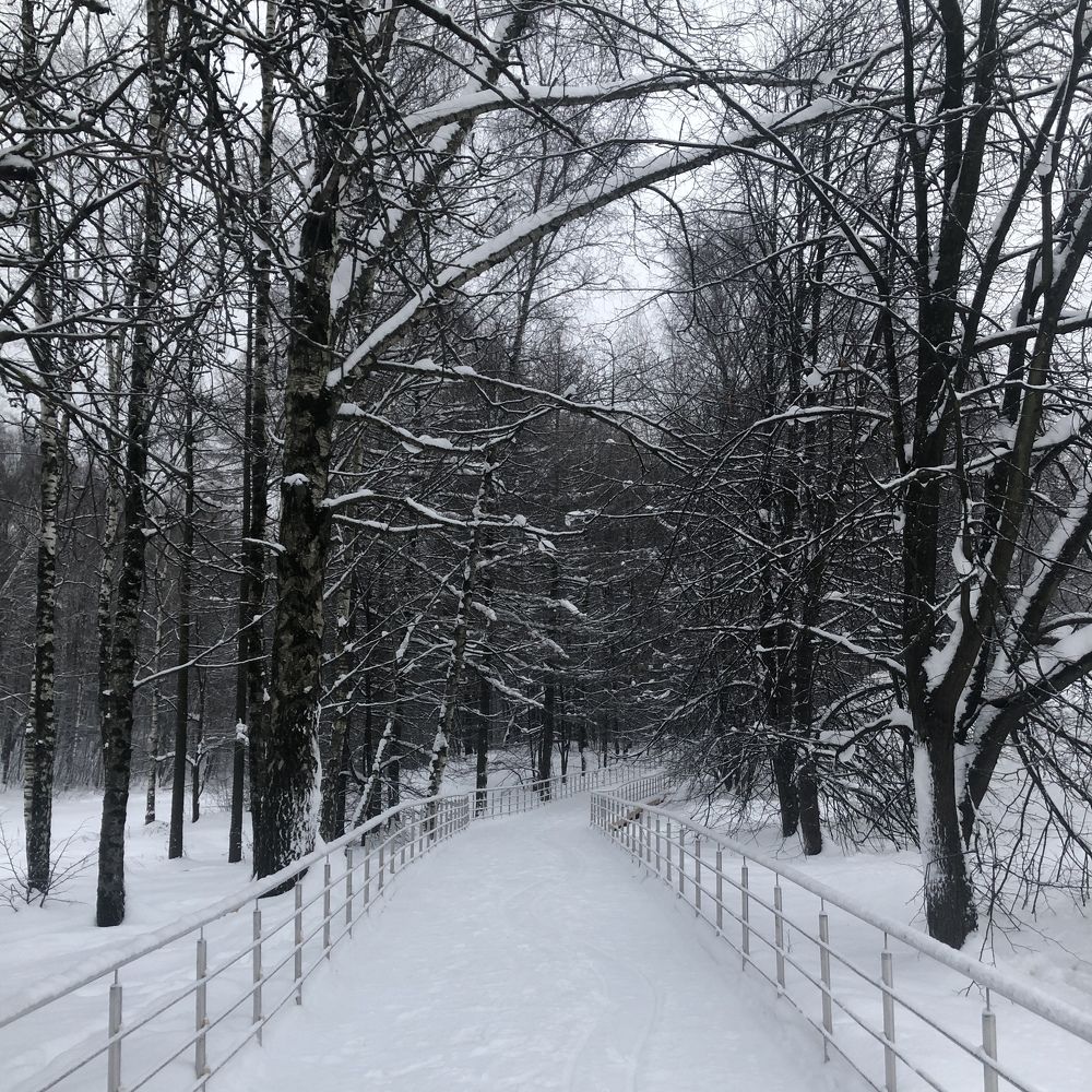 Photograph by Яна Цицилашвили