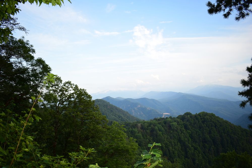 Photograph by Оксана Кричевцова