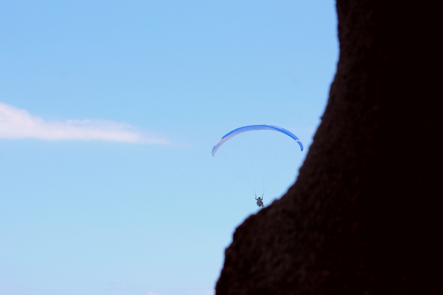 Photo #8562857