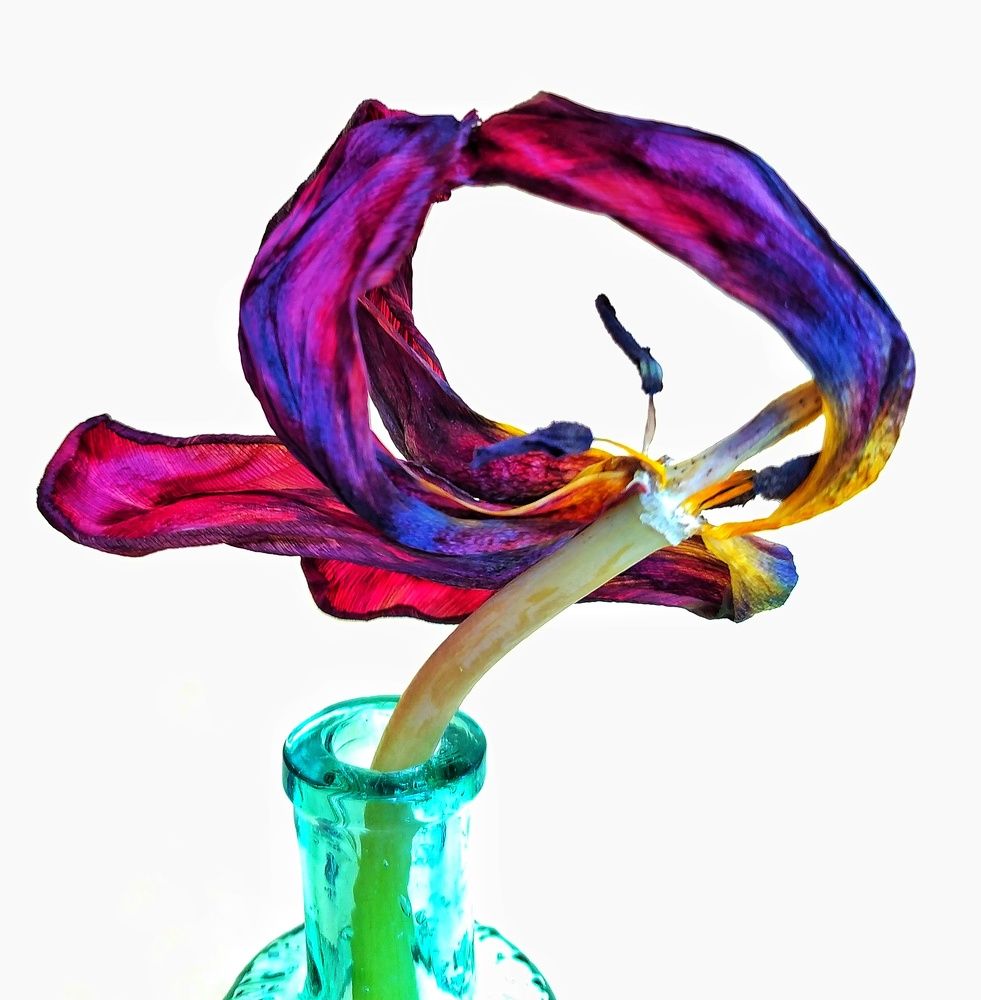 Photograph by Татьяна Григорьева