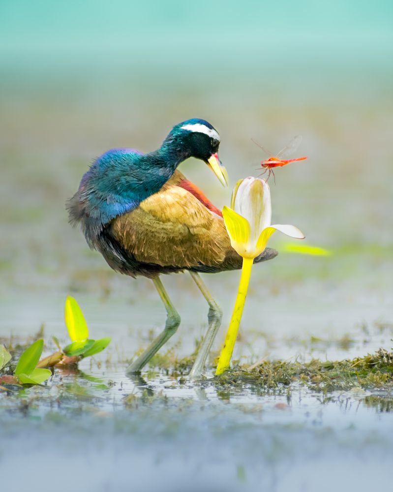 Photograph by Pratyayee Dutta