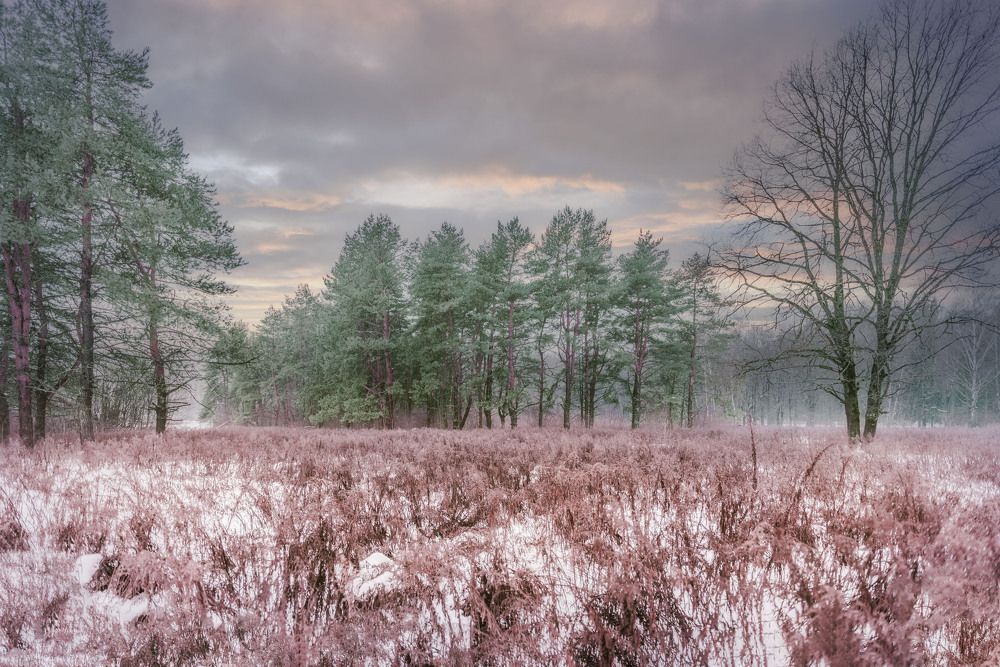 Photograph by Victor Stepanov