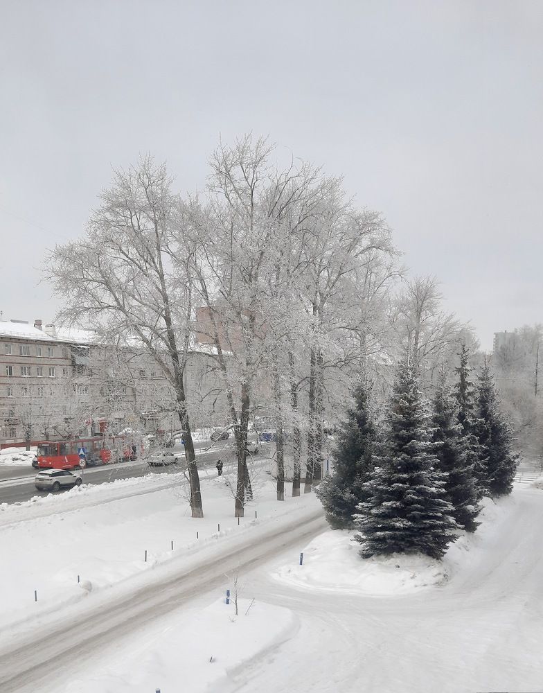 Фотография автора Ольга Кунакова