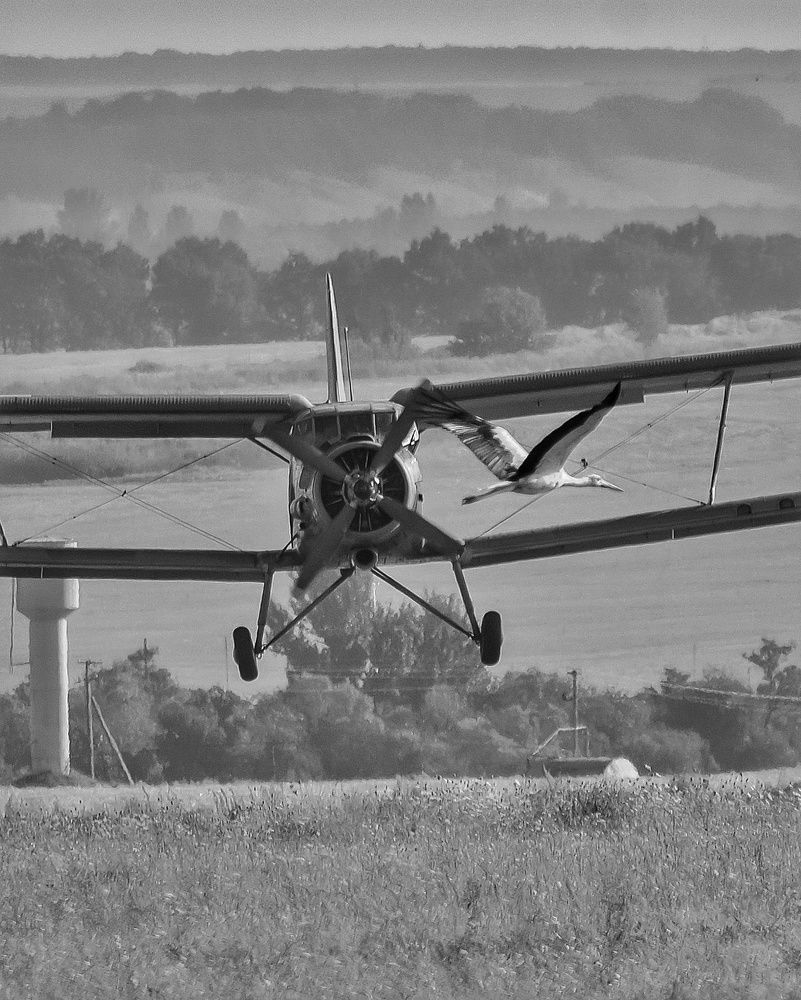 Photograph by Александр Панин