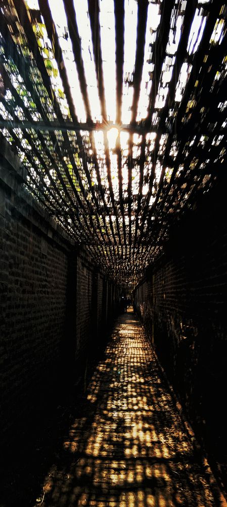 Photograph by Zaheer Abbas