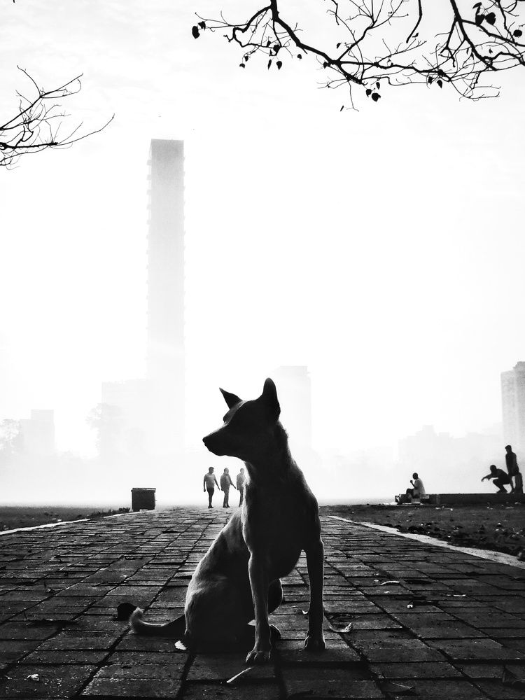 Photograph by Sudipto Deb