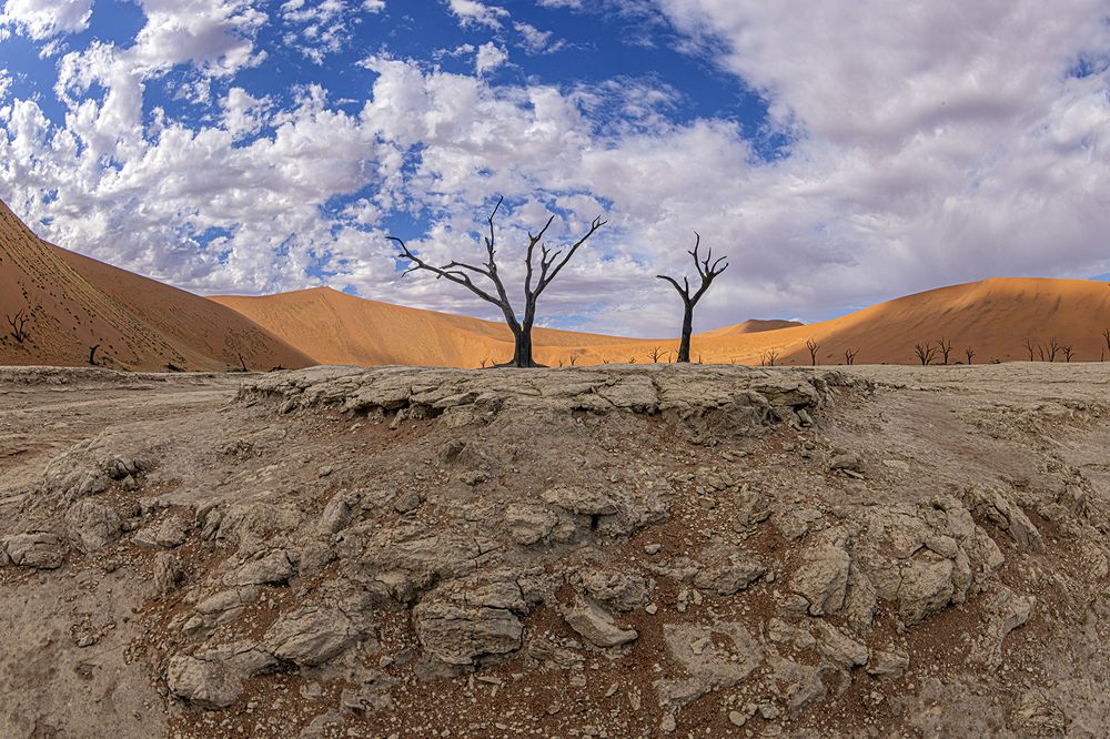 Photograph by Peet J Van Eeden