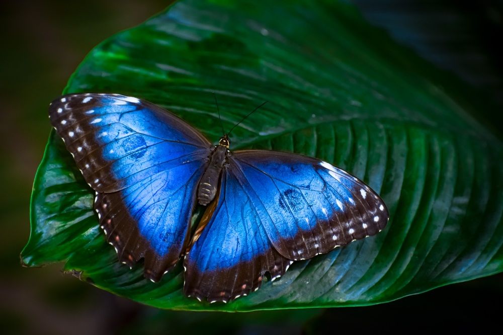 Фотография автора Sakthi Ganesh