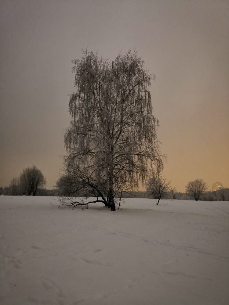 Photograph by Андрей Шевченко