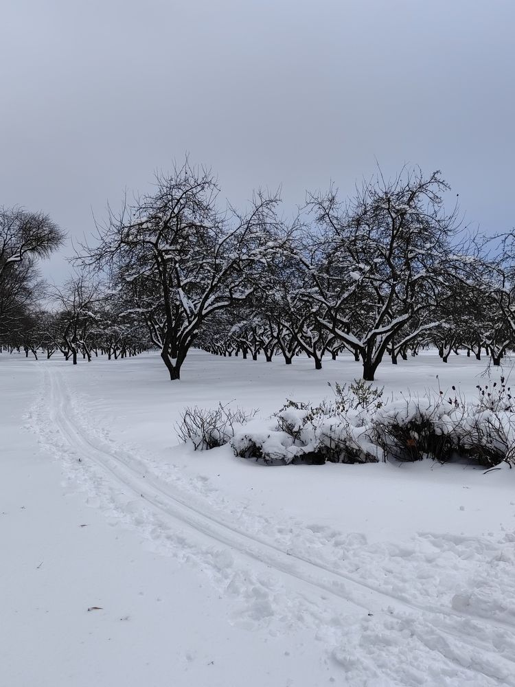 Photograph by Veranika Siratsinina