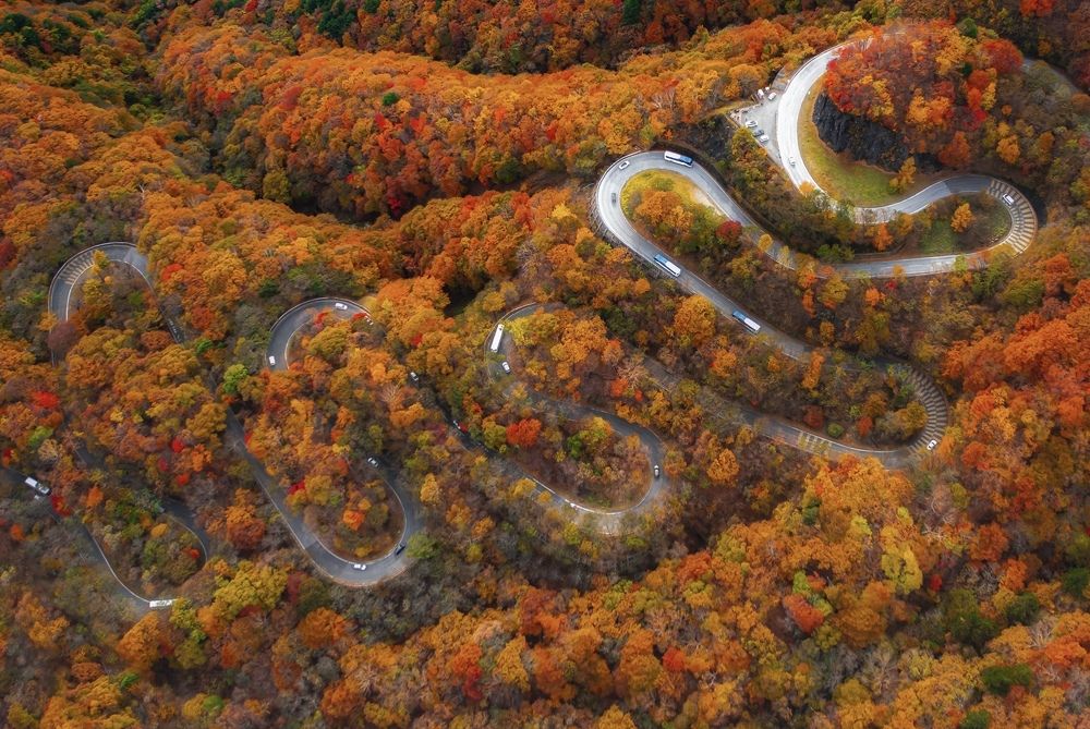 Фотография автора tran luong quyen