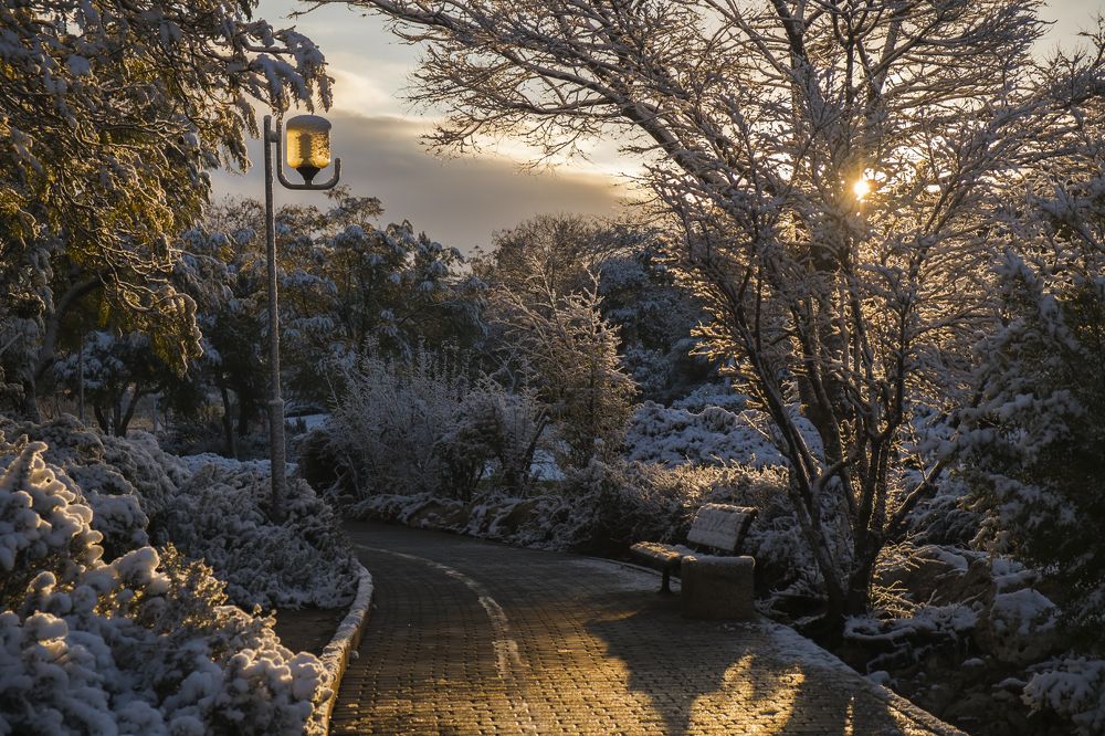 Photograph by Виктория Солодар