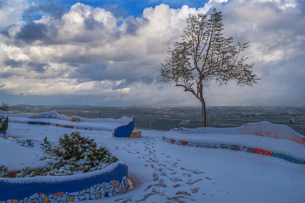 Photograph by Виктория Солодар