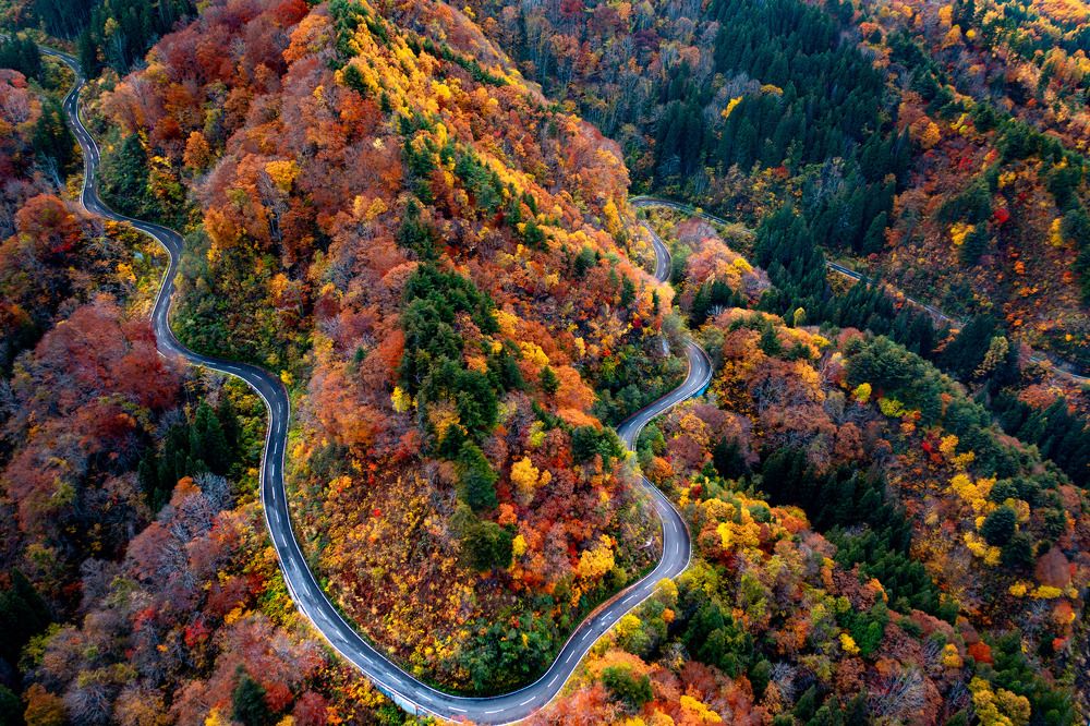 Фотография автора tran luong quyen