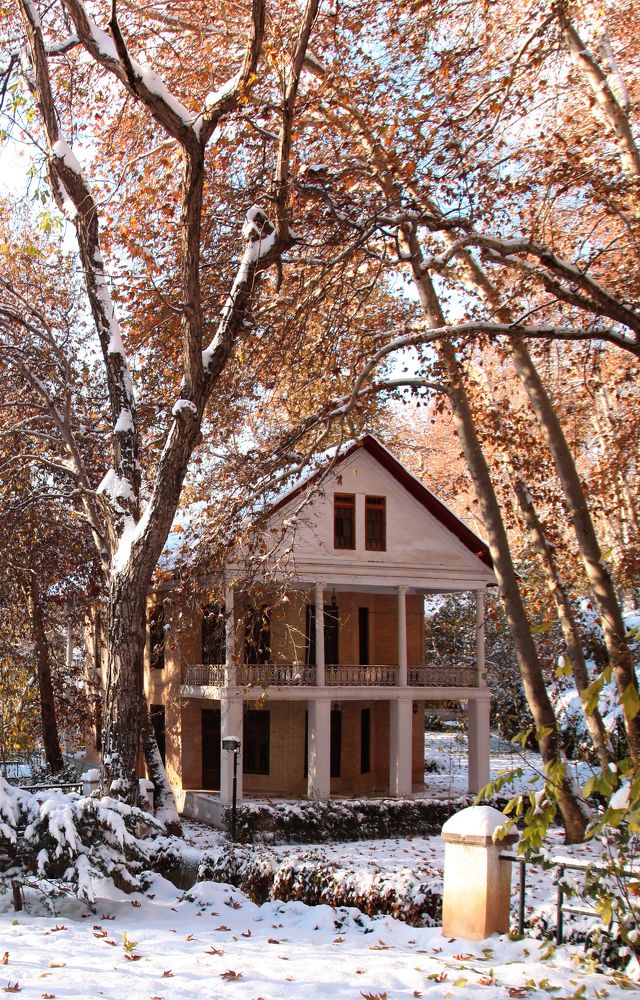 Фотография автора Mojtaba Chenari