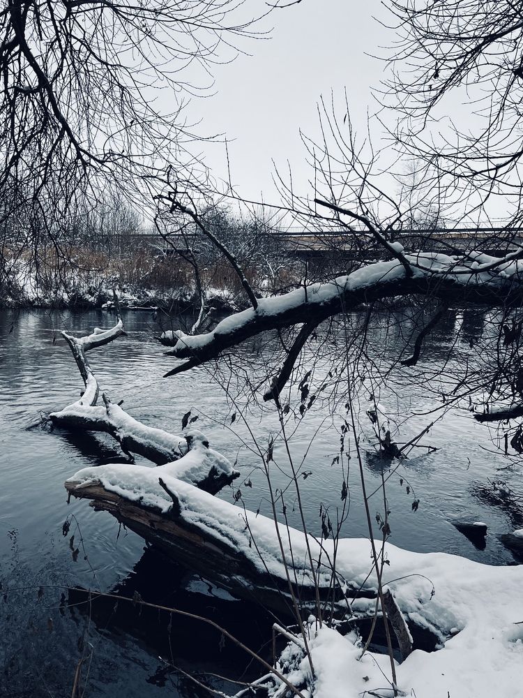 Photograph by Ольга Барковская