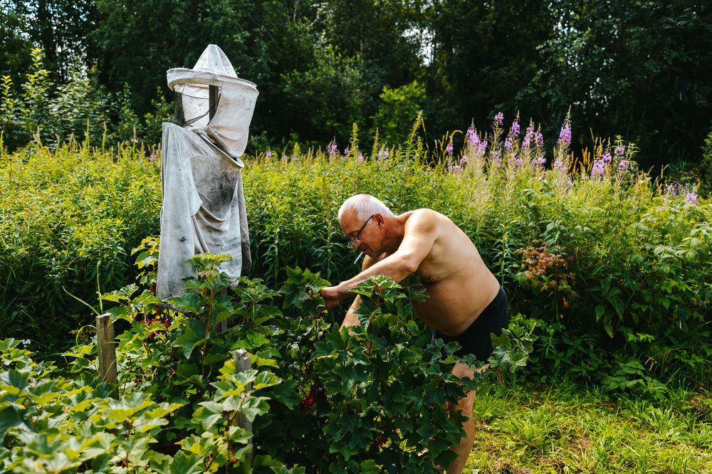 Photograph by Людмила Пахомова