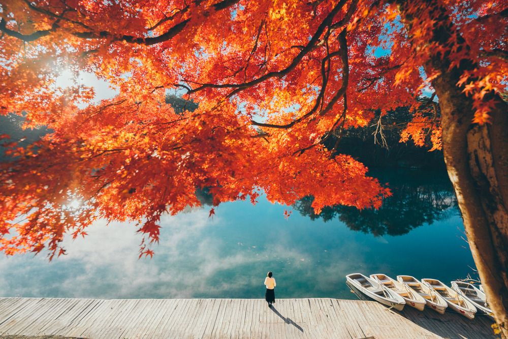 Photograph by Luong Quyen