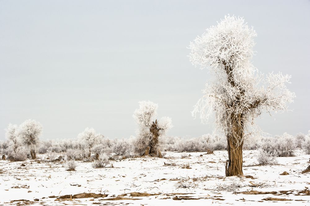 Photograph by JUAN SILVA