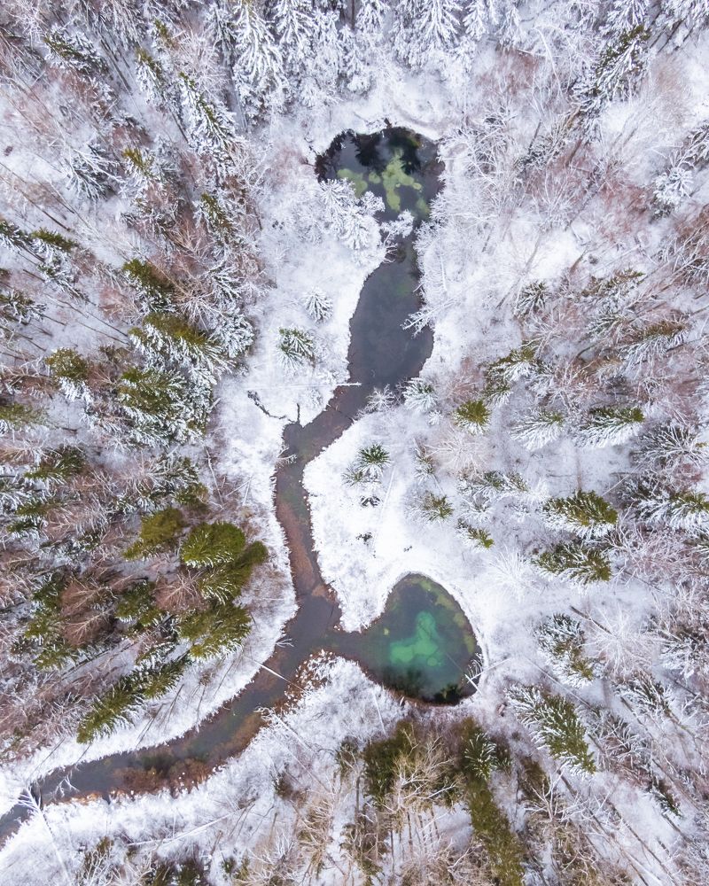 Photograph by Nikolai Mordan