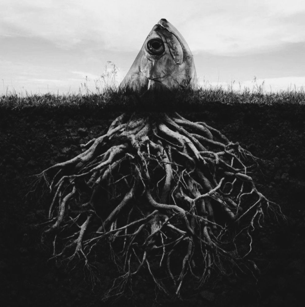 Фотография автора Maksim Egorov