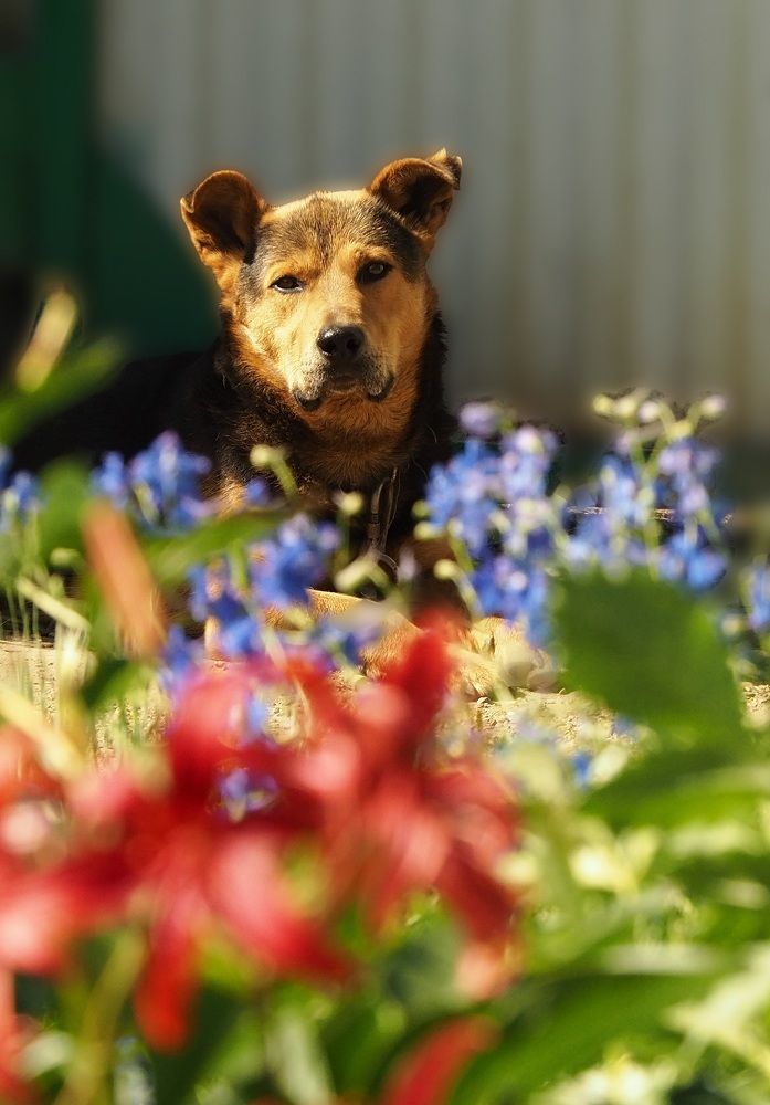 Photograph by МАрина Соловьева