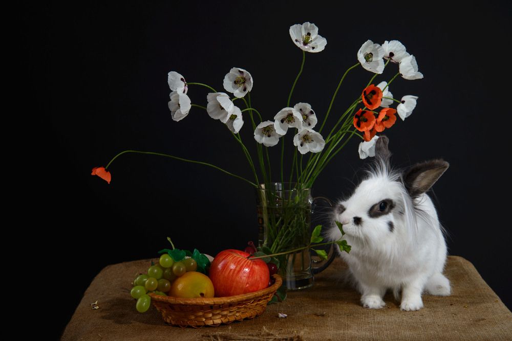 Photograph by Римма Волченко